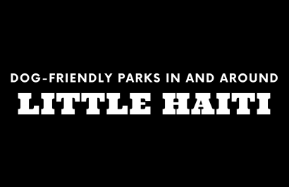 Dog-Friendly Parks In and Around Little Haiti